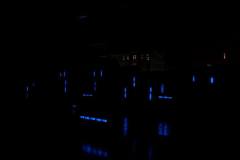 14556518_1310945385591083_7480791279782412354_o