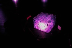 IMG_5796